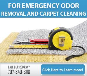 Carpet Cleaning Vallejo, CA | 707-840-3118 | Call Now !!!